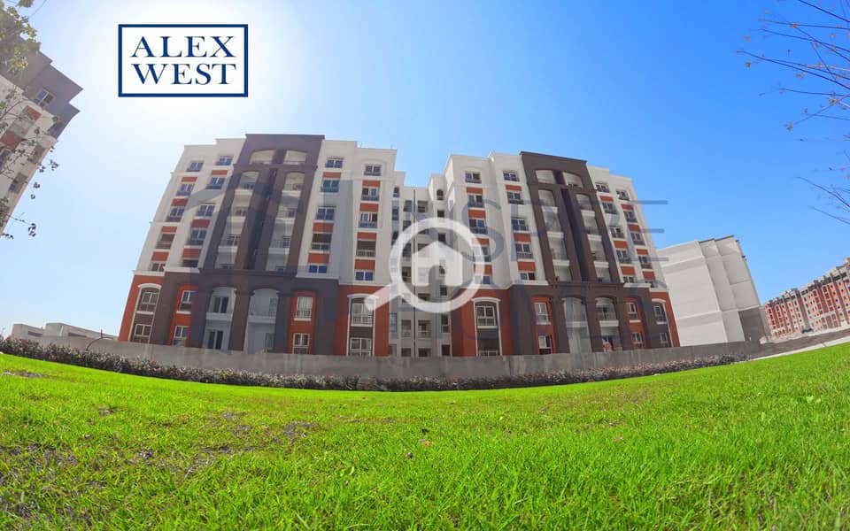 11 WhatsApp Image 2023-12-06 at 15.51. 51_019bb1b3. jpg