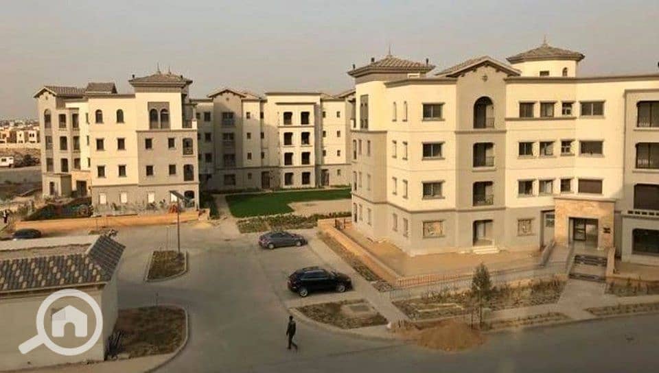 2 74353906_146511090048281_3038199903151980544_n. jpg