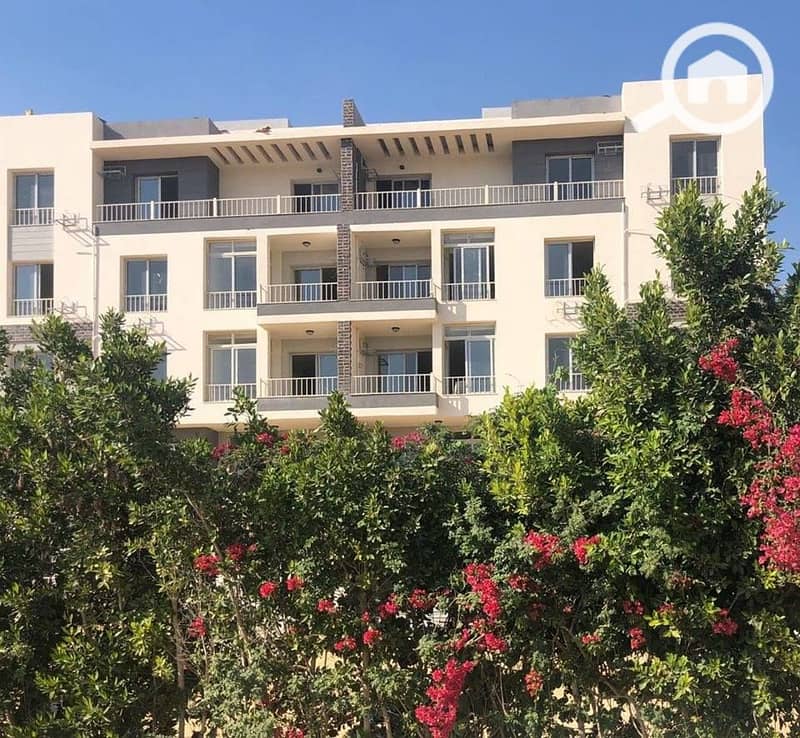 6 65cf359e-5da4-4a49-9472-b0c5ca021c61. jpg