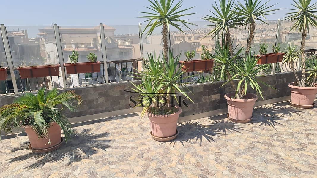 4 WhatsApp Image 2025-10-11 at 1.41. 37 PM. jpeg