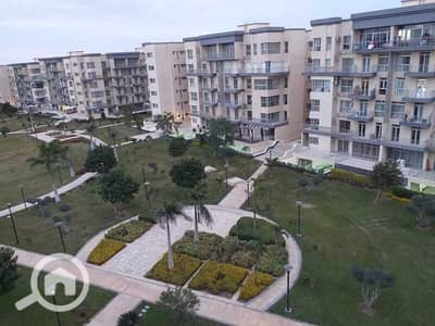 فلیٹ 3 غرف نوم للايجار في مدينتي، القاهرة - WhatsApp Image 2026-01-10 at 11.46. 42 AM (2). jpeg