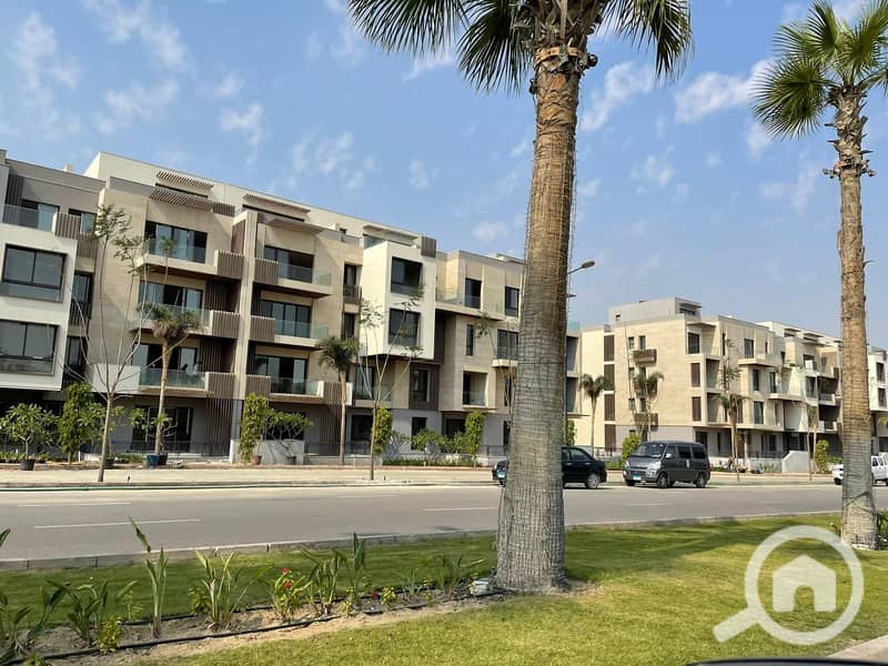 7 01882be2-a391-44fc-9d7b-0cf1d33ddf37. JPG