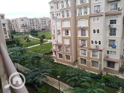 3 Bedroom Flat for Rent in Madinaty, Cairo - WhatsApp Image 2026-01-10 at 11.55. 02 AM. jpeg