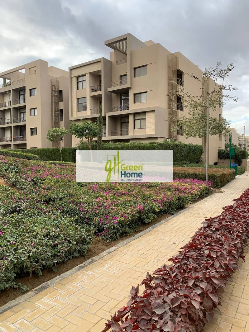 4 26aeec46-0513-4880-ac9f-a481211af8a7. jpg