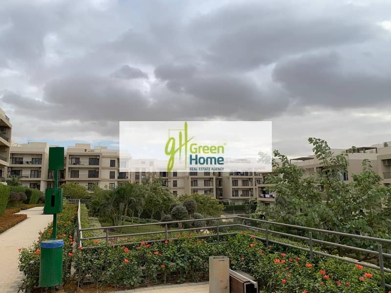 5 31b312fe-f96e-43d2-a9f0-15f0c7339e39. jpg