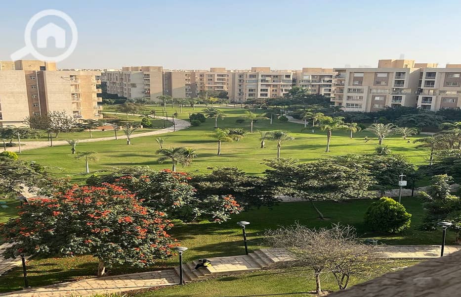 4 08211ddd-7e26-42ca-a091-ddf17a1f1420. jpg