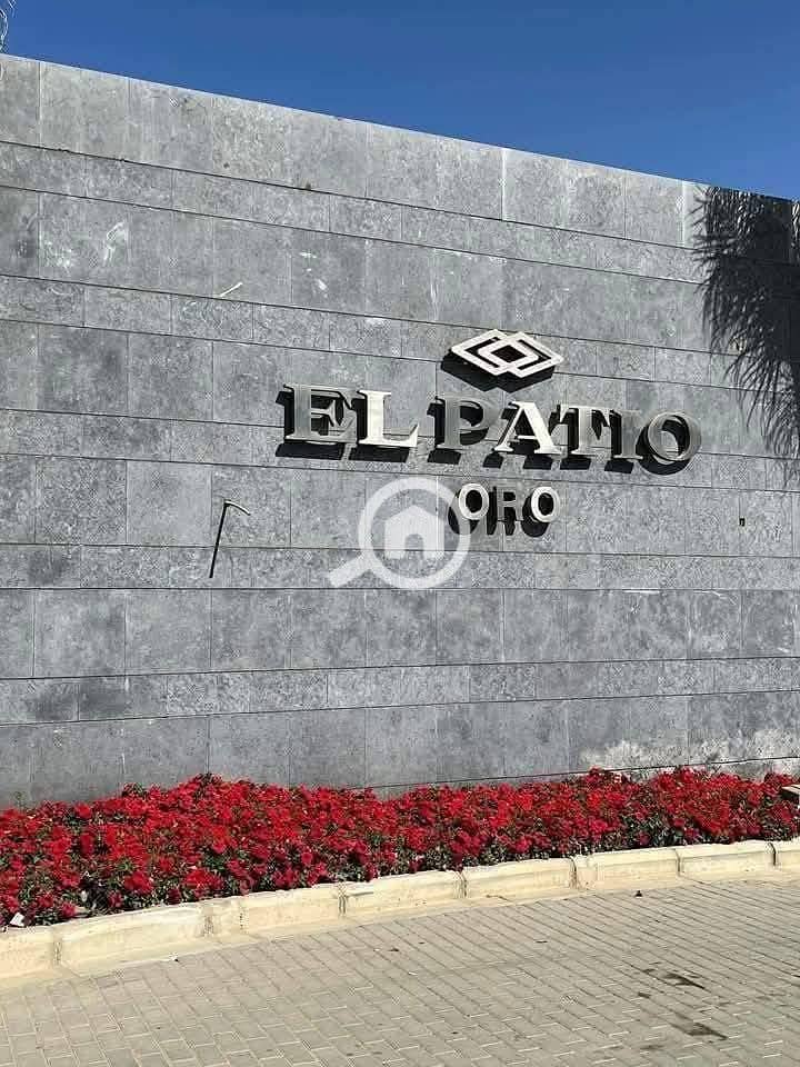 8 611655287_122115414543128349_490159907725936199_n. jpg