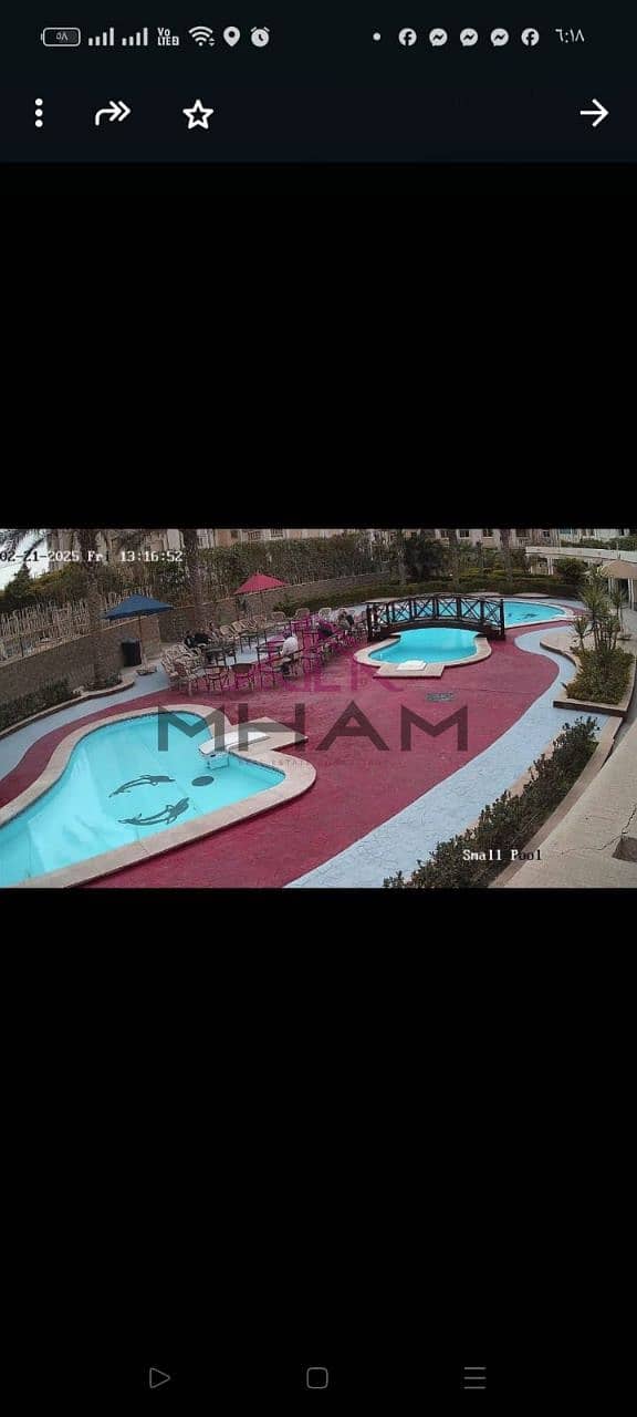 8 photo_5996580068655827714_y. jpg