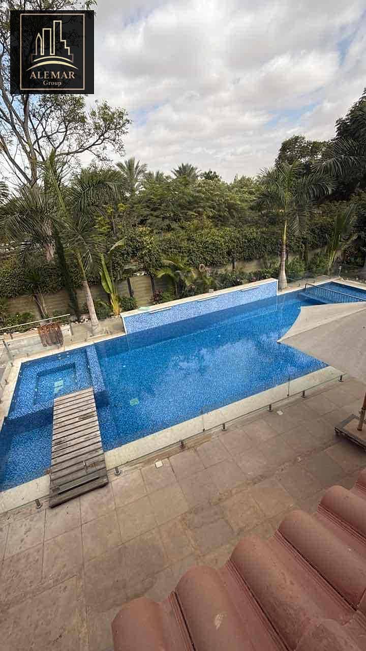 5 f008e241-dce0-488b-a834-417960a7ec34. jpg