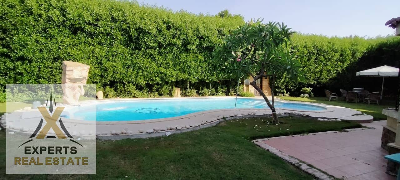 6 b411bead-ca62-45f3-9380-b290f89a6202. jpg