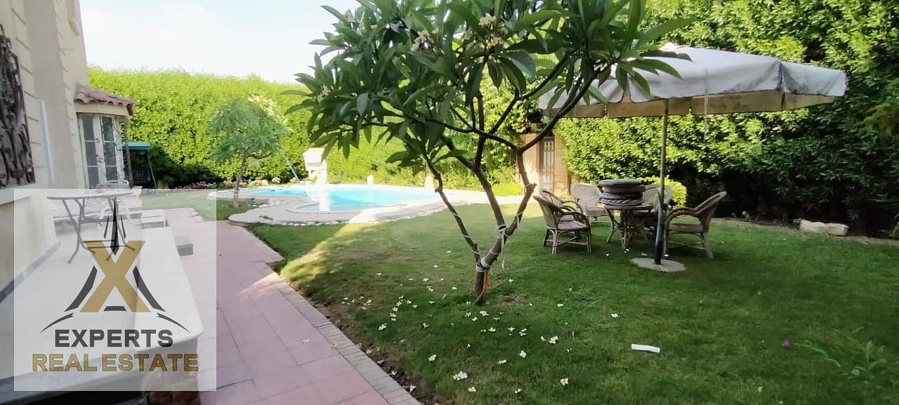 9 ed929e55-22aa-45db-888a-ea1f302cb99c. jpg