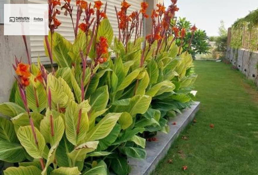 8 88864a46-7858-4895-8574-a71b0b5ae90d. jpg