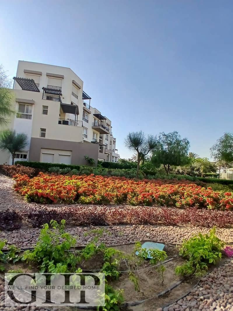 8 1ffebb40-c05c-4ca9-88aa-9ec1d18b3c38. jpg