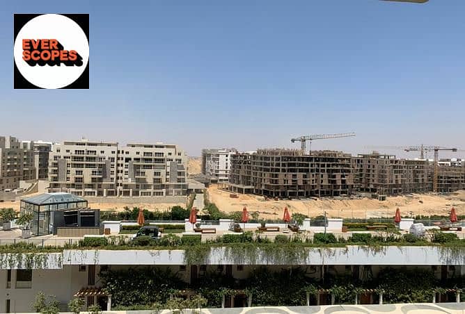 10 3844321-e6502o. jpg