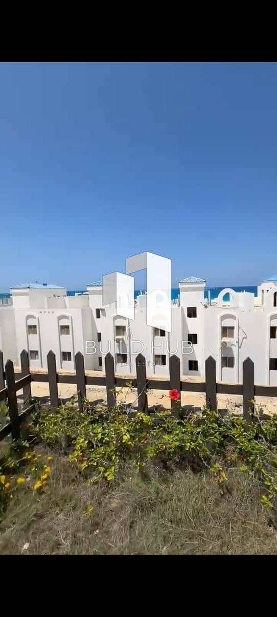 3 IMG-20260112-WA0003. jpg