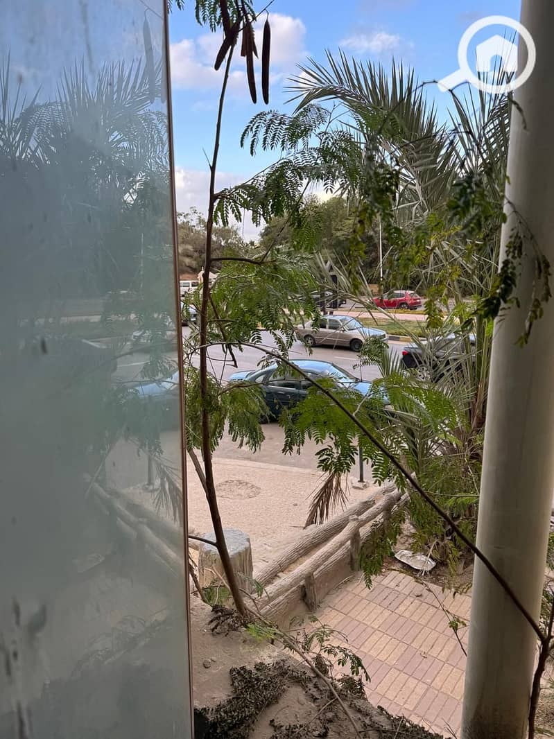 9 WhatsApp Image 2026-01-14 at 1.11. 34 PM (1). jpeg