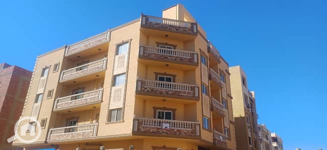 فلیٹ 3 غرف نوم للايجار في القاهرة الجديدة، القاهرة - WhatsApp Image 2026-01-14 at 11.29. 55 AM (2). jpeg