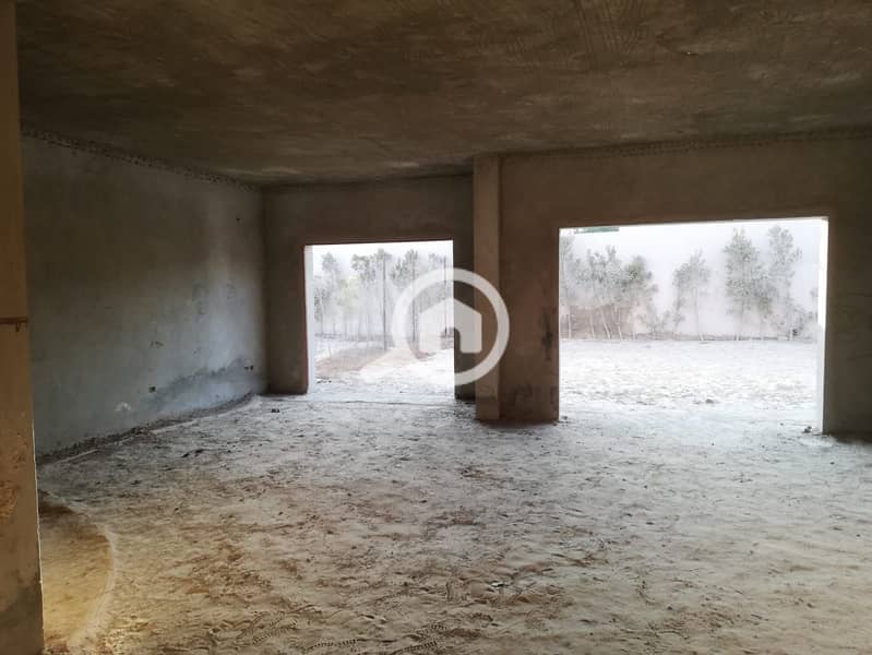 8 WhatsApp Image 2026-01-11 at 1.20. 52 PM. jpeg