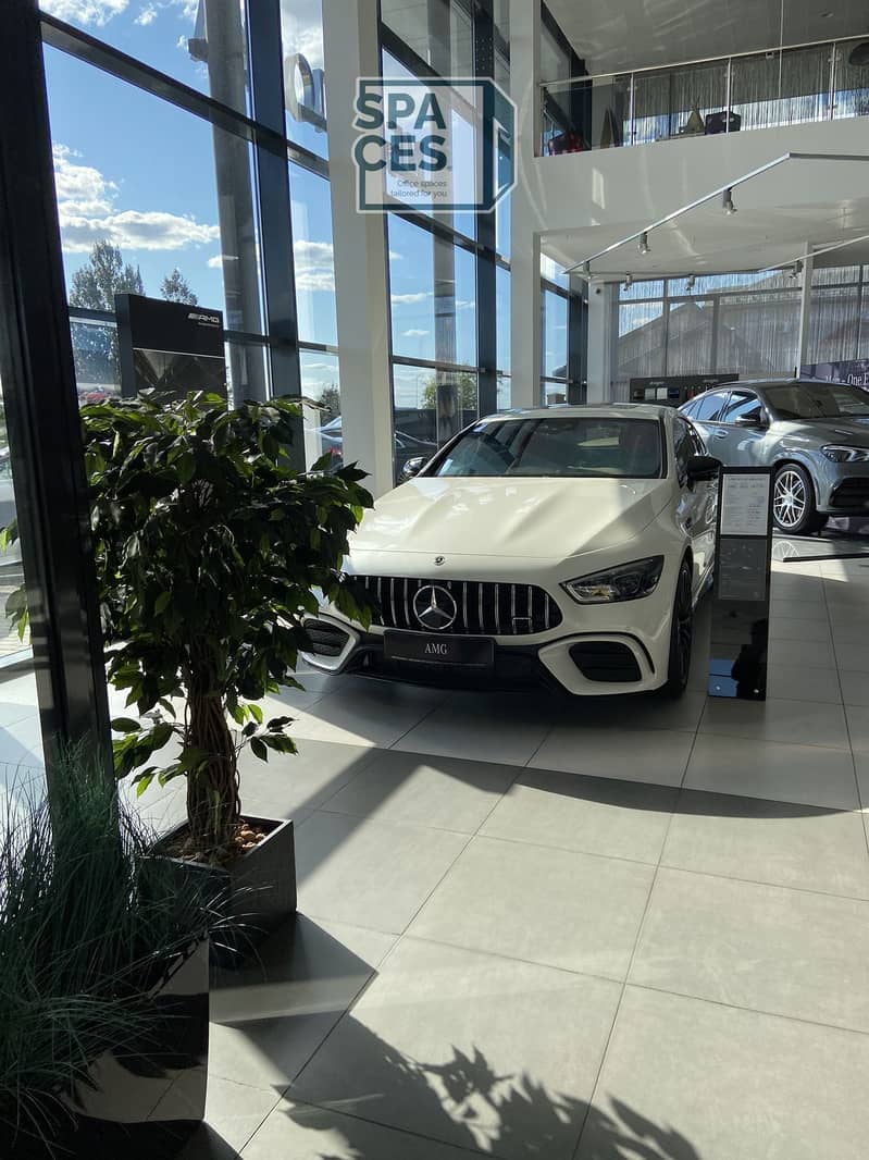 9 736bb92372390e775d8a3a48e1a2b618. jpg