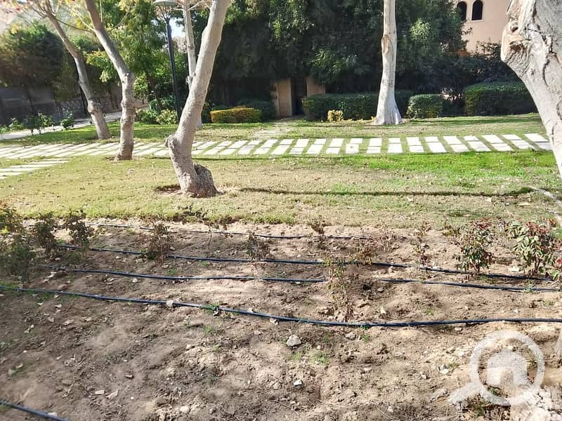 12 a789d576-8601-48ae-9cd4-5cd7fb09ca23. jpeg