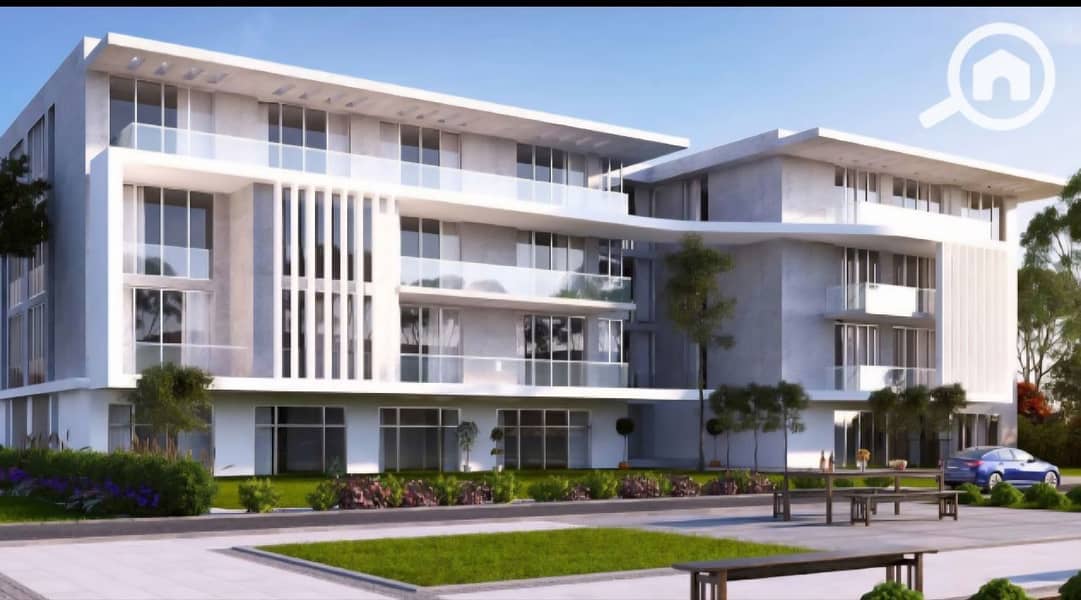 5 photo_4_2025-12-24_13-49-34. jpg