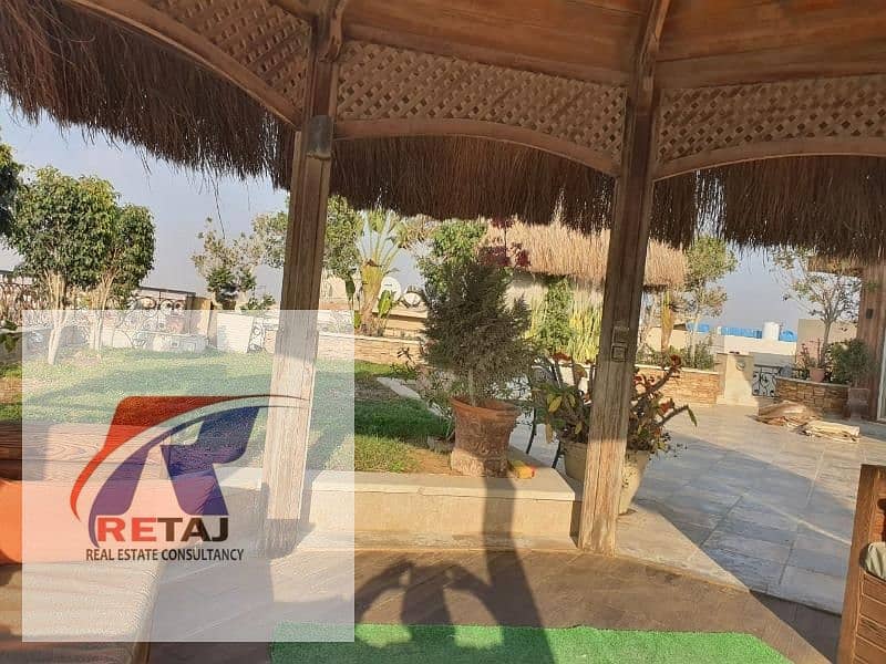 11 f5ed9836-7337-42f7-8b0a-89c111d8a7b7. jfif. jpg