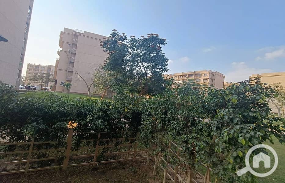 3 3d9edc21-ebf8-4f40-aa97-2b78058125d4. jpg