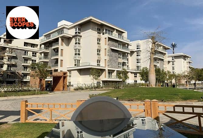 3 3844321-5f5ffo. jpg