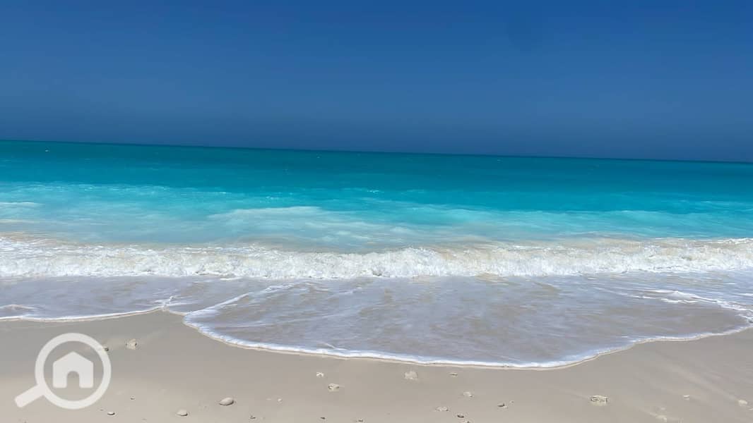 7 صورة واتساب بتاريخ 2025-09-22 في 13.41. 54_d28c9d44. jpg