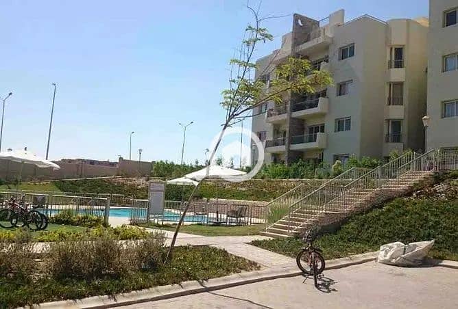 5 WhatsApp Image 2025-12-11 at 15.22. 32 (2). jpeg