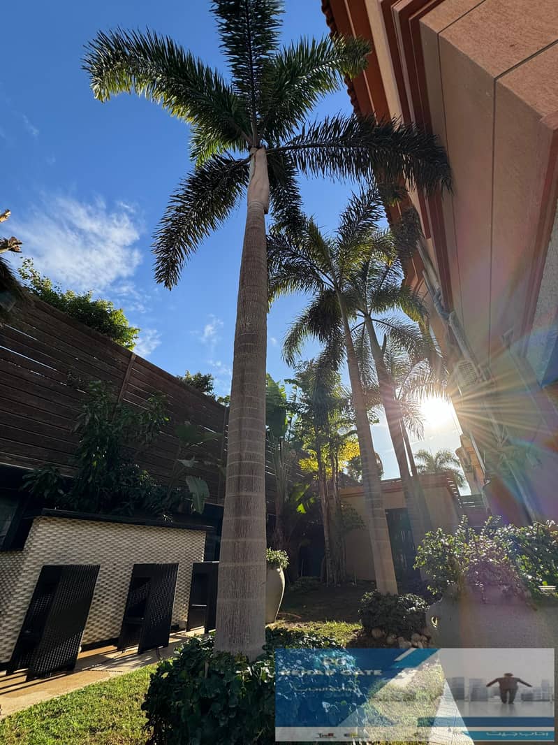 32 924f9471-687f-4d22-ba15-9258120e0f6a. jpg