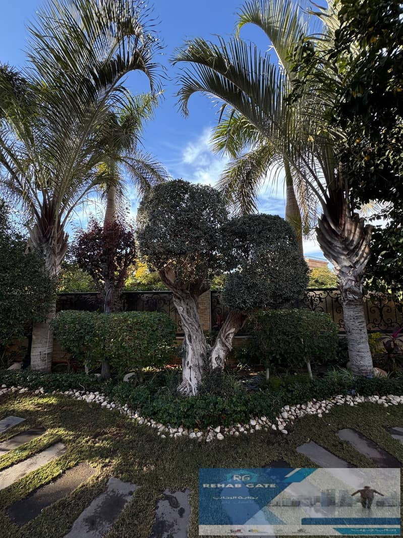 43 b5b13410-b4f1-4ca2-9c1d-f02b093ce54b. jpg