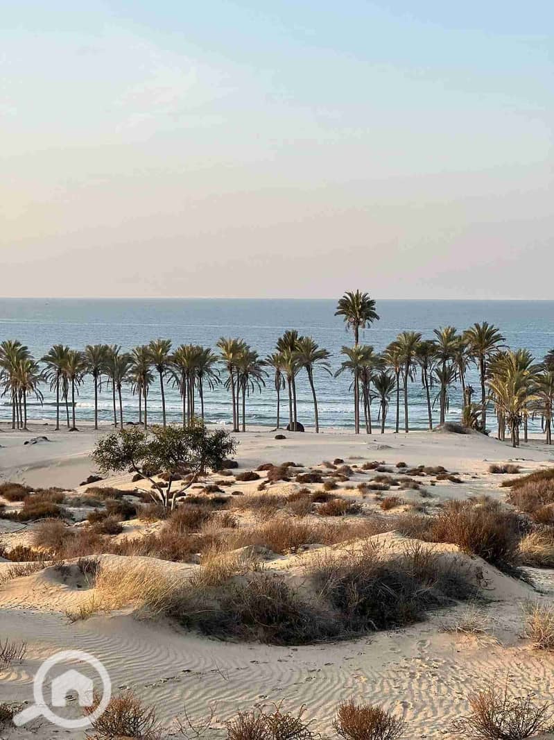 7 FB_IMG_1768217865183. jpg