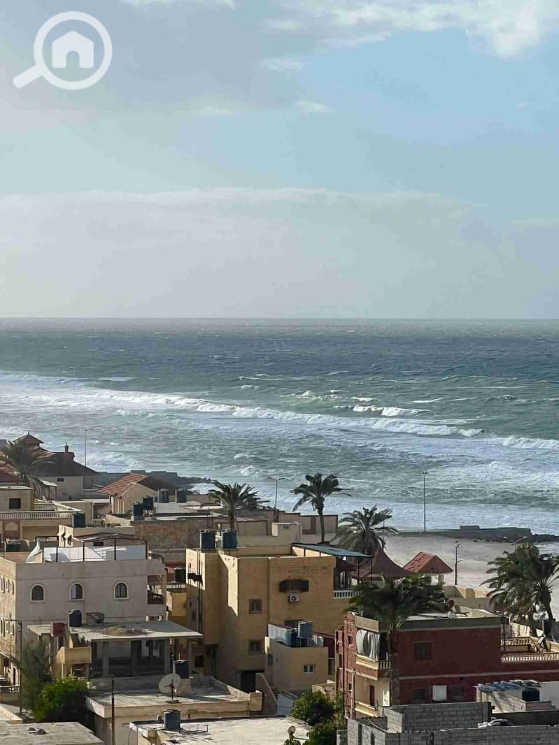 14 FB_IMG_1768392504020. jpg