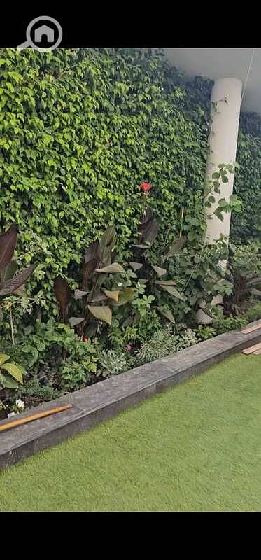 9 WhatsApp Image 2026-01-14 at 12.45. 27 PM (6). jpeg