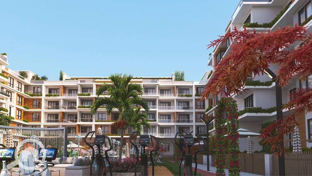 6 62196d2e-dff1-4c20-90d6-0b5e1fe61324. jpg