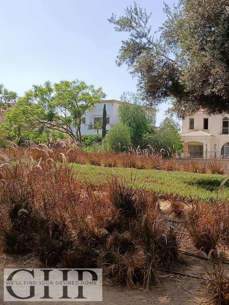 4 c43e7561-8c48-4bac-a070-ec47fb6a959e. jpg