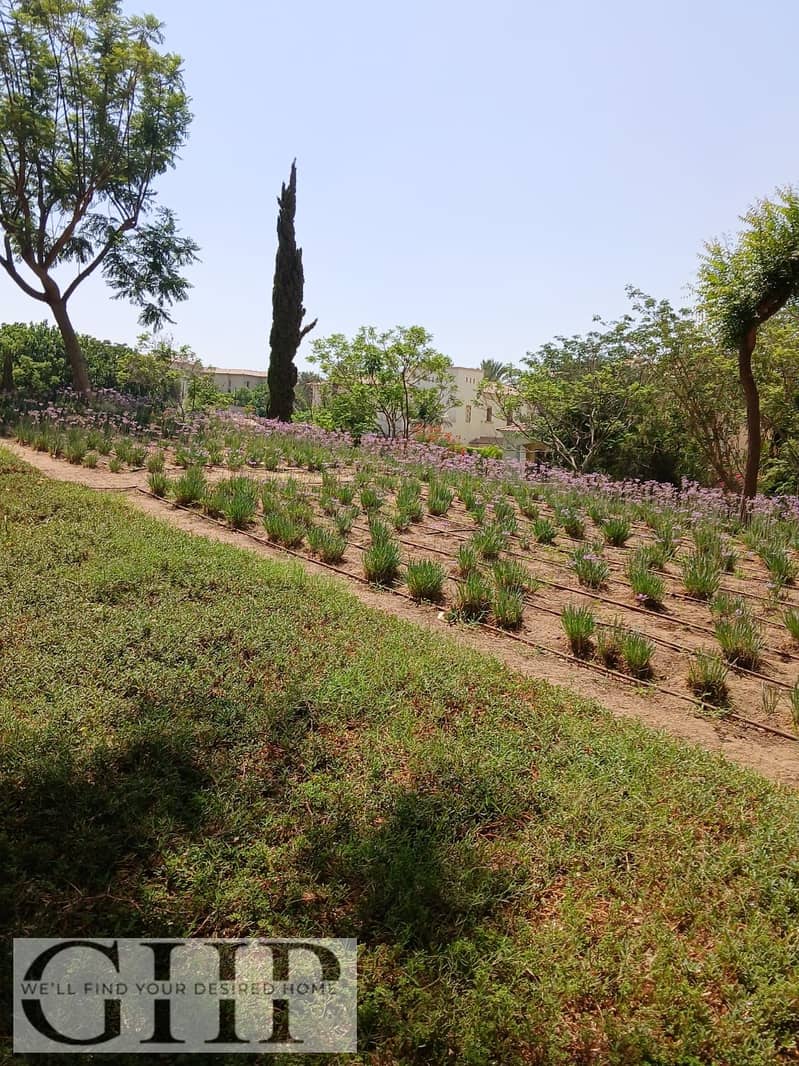 9 5c3e7aed-8ad6-4fc4-a6db-508a12df6ef9. jpg