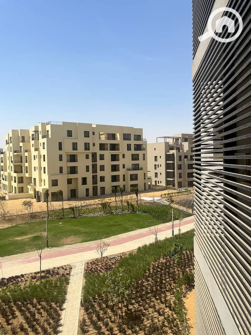 2 photo_2024-04-02_03-04-13. jpg