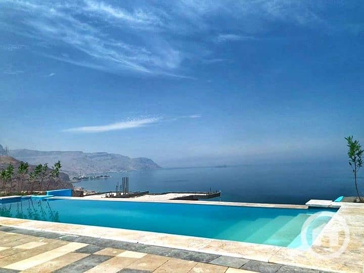 3 464382246_1082337817227251_1581647005796880742_n. jpg