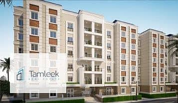 8 32621562-800x600. jpeg