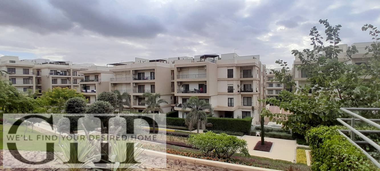 3 20251229_143100. jpg