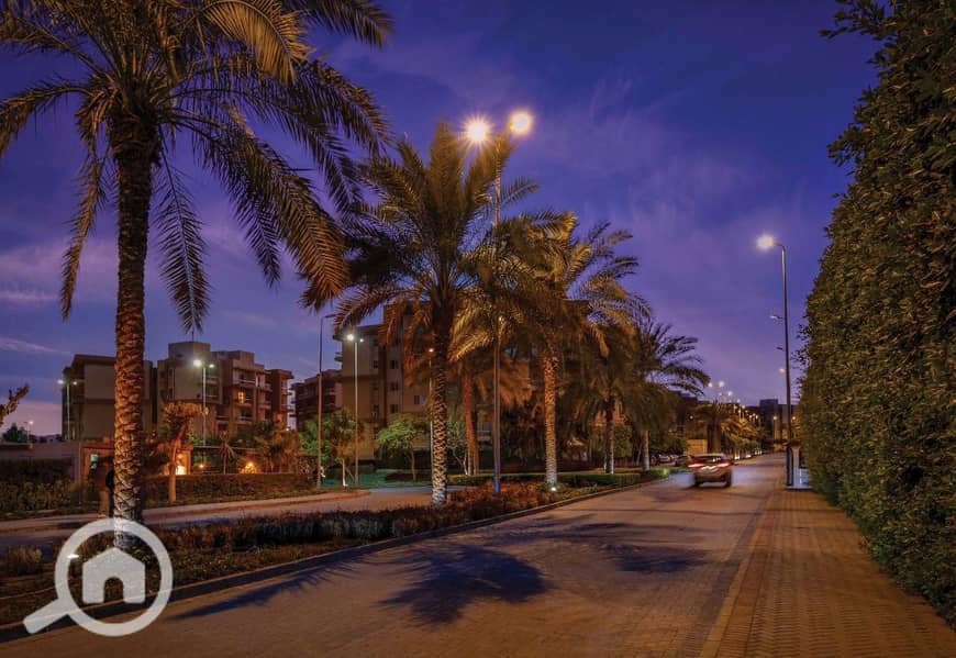 12 7df51586-32ba-41b1-9f96-4df24ad7f90d. jpg