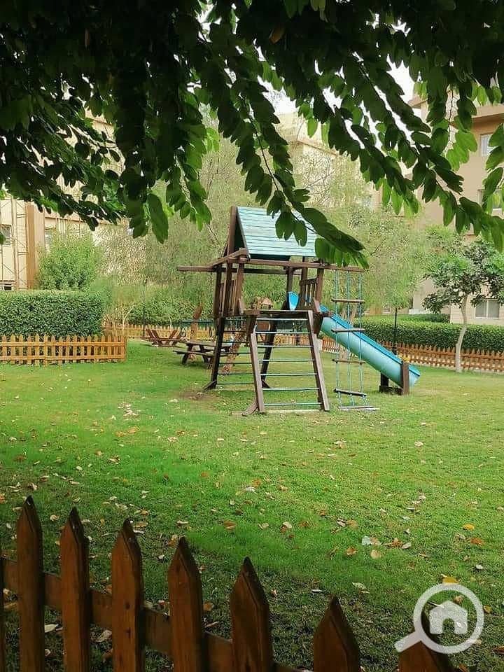 13 11f431c1-d770-451b-8f79-08b011e05003. jpg