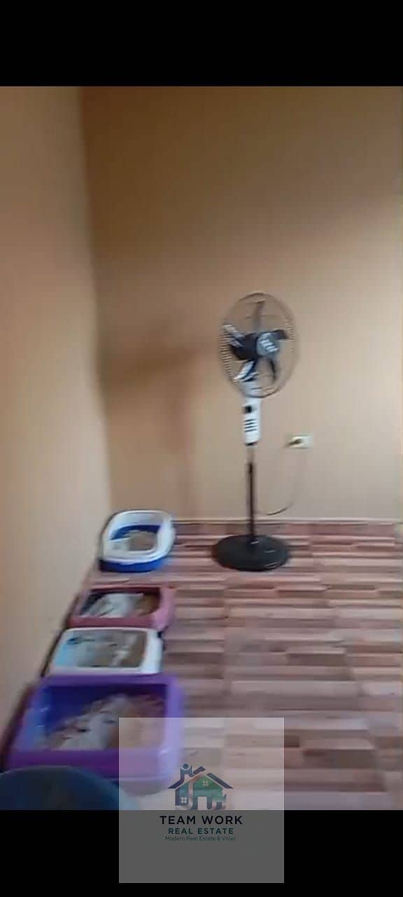 9 WhatsApp Image 2026-01-13 at 11.26. 13 AM. jpeg