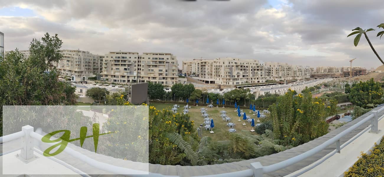 17 IMG_٢٠٢٥١٢٢٩_١٦٢١٢٦. jpg