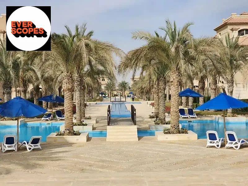 4 36093031-800x600. jpg