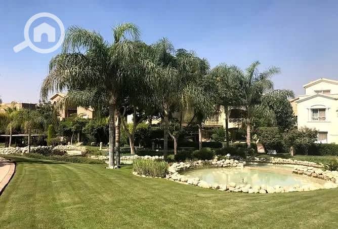 6 529890465_4006001559652121_1375296082078546588_n. jpg