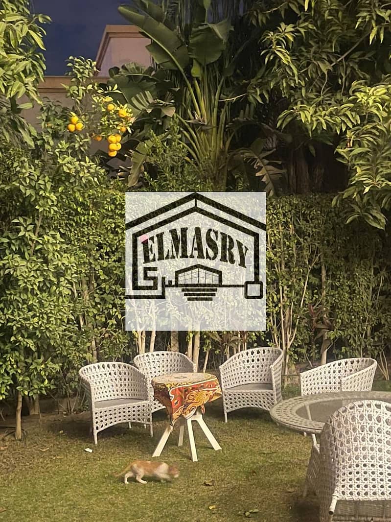 6 3b3a6c51-d5ef-40bf-a4bd-e1d6a65d6a18. jpg