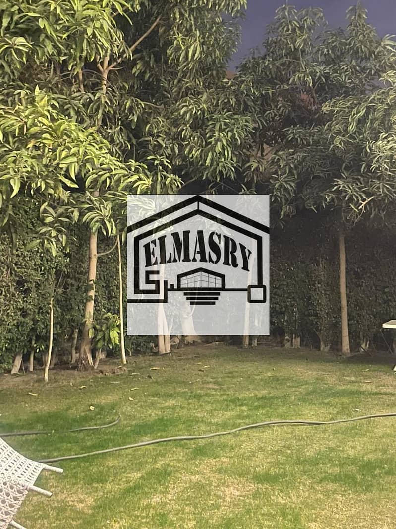 10 99bf1840-9cb7-4b0a-9db5-8853d3166475. jpg